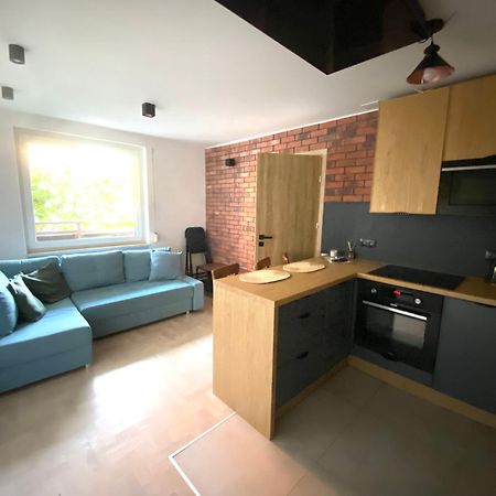 Lesne Apartamenty - Apartament Szary هيل المظهر الخارجي الصورة