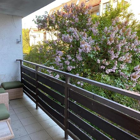 Lesne Apartamenty - Apartament Szary هيل المظهر الخارجي الصورة