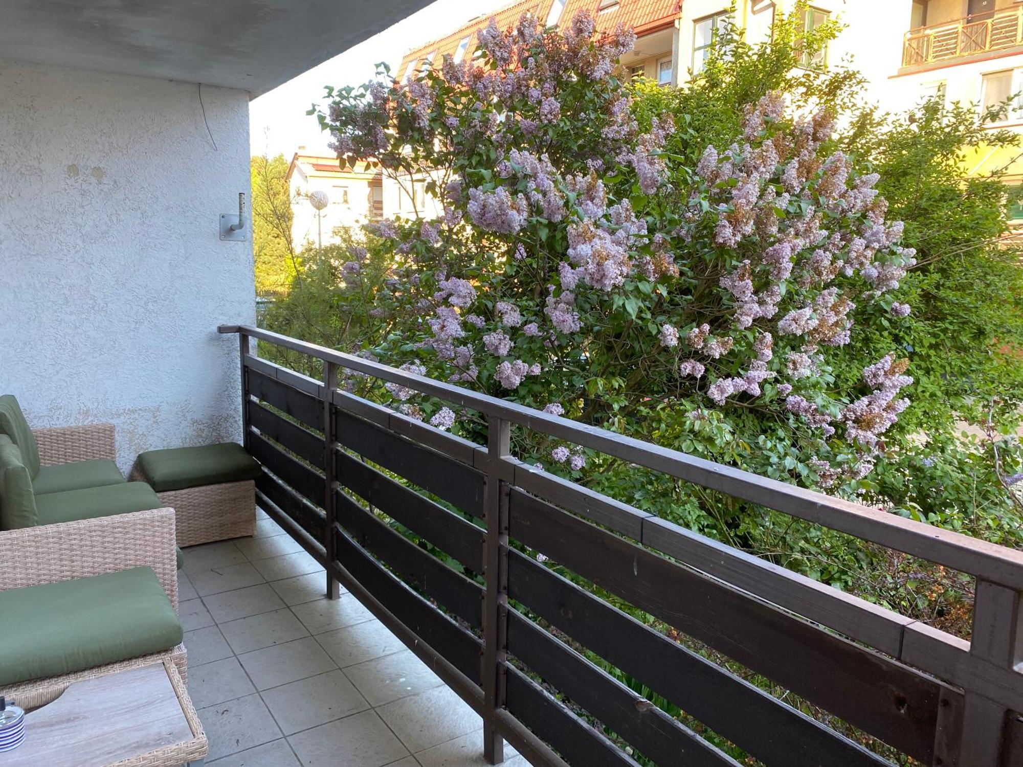 Lesne Apartamenty - Apartament Szary هيل المظهر الخارجي الصورة